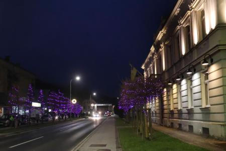 LUČKE 01 FOTO LJUBO VUKELIČ